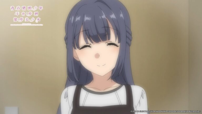 青春豬頭少年不會夢到懷夢美少女