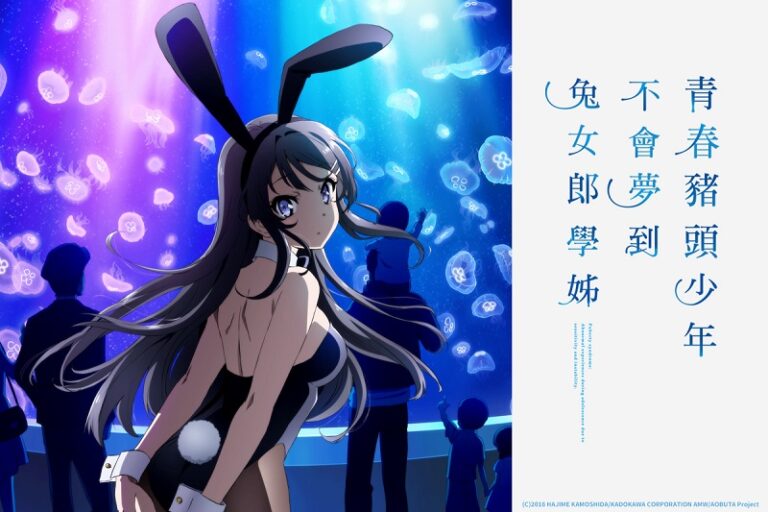 青春豬頭少年不會夢到兔女郎學姊